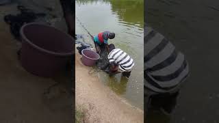 AGROMIL COTE DIVOIRE PISCICULTURE [upl. by Kcirdneh]