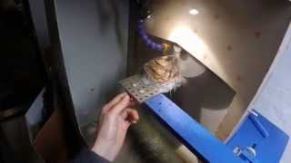 Cutting unclassified meteorite on Silver Blade VI [upl. by Steward]