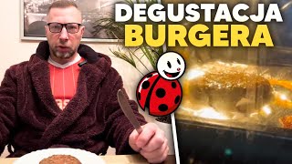 DEGUSTACJA BURGERA WOŁOWEGO Z BIEDRONKI [upl. by Arlan515]