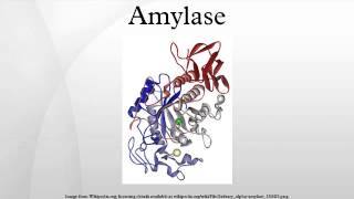 Amylase [upl. by Nnaeerb191]