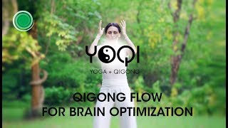 Qigong Flow For Brain Optimization [upl. by Sidoney]