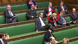 Michael Fabricant MP swears in the Commons over Brexit scare story [upl. by Aihsinyt]