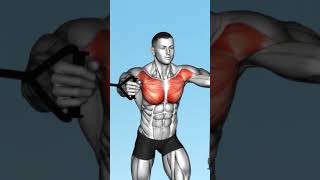 Cable chest workout techniques fitness homeworkout [upl. by Georgetta]