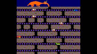 Arcade Game Anteater 1982 Stern Tago license [upl. by Aknahs537]