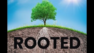 June 2  Rooted [upl. by Karalynn]