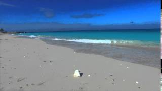 Sand and Seashells in the Bahamas [upl. by Ertha]