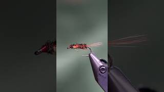 Diawl Bach Fly [upl. by Giglio2]