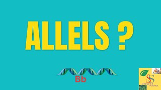 What is an Allele Alleles in genetics  in HINDI [upl. by Nugent]