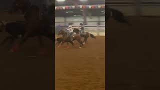 Got 3rd on big bay this weekend rodeo horses rodeotime roping [upl. by Gerk]