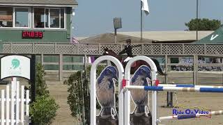 244S Genevieve Hedges on Everydays A Holiday JR Beginner Novice Show Jumping Woodside October 2024 [upl. by Alvie759]