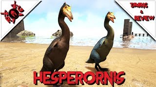 ARK HESPERORNIS TAMING amp REVIEW Patch 258 HOW TO TAME amp WHY YOU NEED THEM [upl. by Marron]