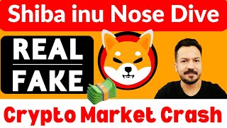 Crypto Market Crash Today  Can Shiba inu Coin Survive  Crypto News Today Urdu Hindi  Ali Iqbal [upl. by Paris]