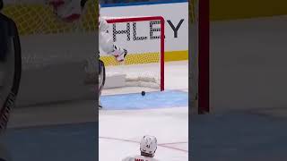 CRAZY goalie goal or hat trick 😱🚨🧢 [upl. by Hance110]