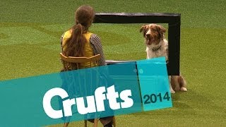 The Lighter Side of Crufts  Crufts 2014 [upl. by Barraza]