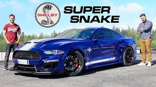 2020 Shelby Super Snake Review  800 Horsepower GT500 Killer [upl. by Jen619]