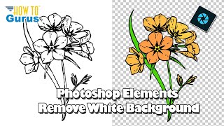 Photoshop Elements Remove White Background Project for Beginners COMPLETE [upl. by Birchard329]