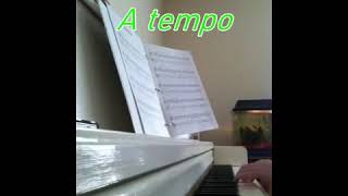 Ritardando a tempo [upl. by Gombach58]