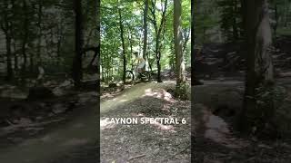 Canyon spectral 6 jump test mtbdirtjump cycling adrenaline mtbcycling cringe bicycle [upl. by Chessy382]