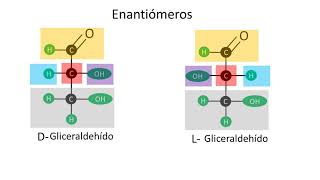 Carbohidratos  Enantiómeros y epímeros  Configuración D y L [upl. by Yennek]