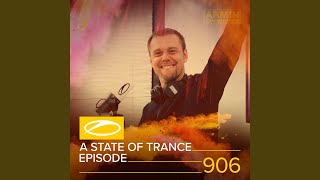 Forest Man ASOT 906 Progressive Pick [upl. by Luca171]