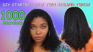 DIY MICROLOCSTWO STRAND TWIST 1000 LOCS [upl. by Arratal]