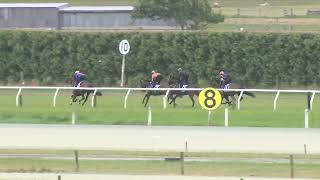 Ashburton Trials 27 11 2024 Heat 6 [upl. by Yrrag493]