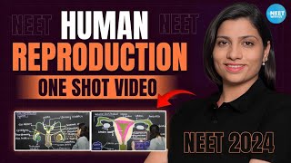 Human Reproduction Class 12 One Shot  All Theory Tricks amp PYQs  NEET 2024 Biology  Ritu Rattewal [upl. by Pelligrini]