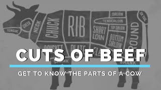 Cuts of Beef Get to Know the Parts of a Cow [upl. by Ahsiatal368]