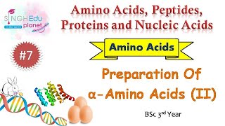 Preparation of Amino Acids ContinuedAmino Acids BSc 6th SemesterPart 7 Organic Chemistry [upl. by Fey873]