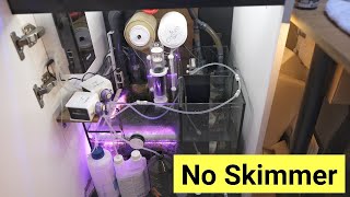 Lets Talk About Skimmerless Tanks Waterbox Frag 552 Sump Update [upl. by Ahsya694]