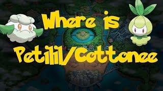 Where Is PetililCottonee Trade Pokemon Pokemon BlackWhite [upl. by Conrad]