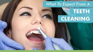 What To Expect From A Teeth Cleaning [upl. by Cirre]