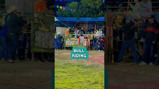 Very Funny 🤣 Bull Riding Game [upl. by Okram589]