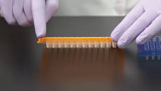 Learn How to Choose a PCR Plate [upl. by Dnomhcir]