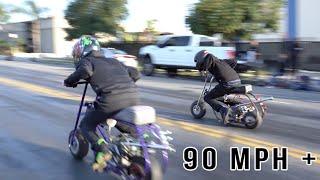 BIGGEST COMPTON MINI BIKE STANDARD BORE TOURNAMENT PT1 [upl. by Mccahill725]