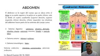 Presentación de abdomen [upl. by Ursel]