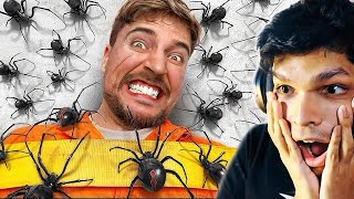 100 SPIDERS vs MAN scary challenge [upl. by Hirsh]