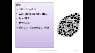 Revision Connective tissue histology [upl. by Preuss]