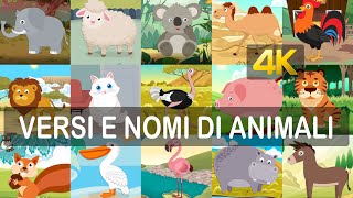 Impara i versi ed i nomi dei 40 animali in italiano risoluzione 4K [upl. by Eat614]