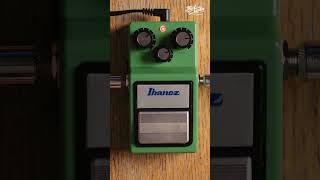 Ibanez TS9 Tube Screamer [upl. by Ayotan342]