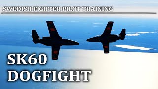 Rare RealLife DOGFIGHT Training Footage [upl. by Rori]