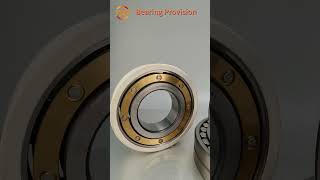 What are the Electrically insulated bearings When will we use theInsocoat bearings [upl. by Ahseekan]