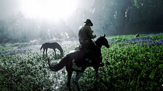 8K60 RDR2 ➤ MOVIELIKE Graphics  Ultra Realistic NEXTGEN Graphics  ReShade MOD 🔥 RTX4080 [upl. by Hnad]