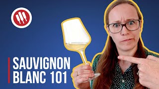 Sauvignon Blanc Everything you need to know  Grapes 101 [upl. by Rehsa]