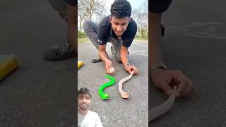 Remote Control Snake Unboxing snake rc animals reptiles [upl. by Stephenson]