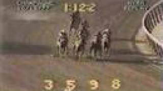 Alydar vs Affirmed  1977 Champagne Stakes 5th Meeting [upl. by Locklin]