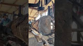 Process Sawing Wood get the exact square block of wood wood factory process [upl. by Natfa]