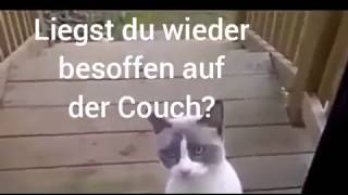 Lustige sprechende Katzen  Deutsch [upl. by Newhall]