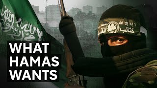 Israel Palestine and Hamas explained in two minutes [upl. by Enelez872]