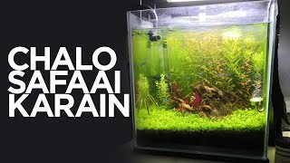 Planted Tank Maintenance اردو  हिंदी [upl. by Noraed938]